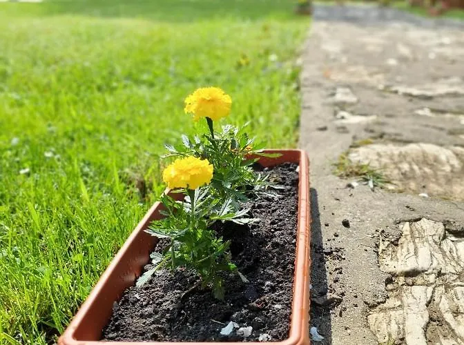 Grand Tara Rafting *