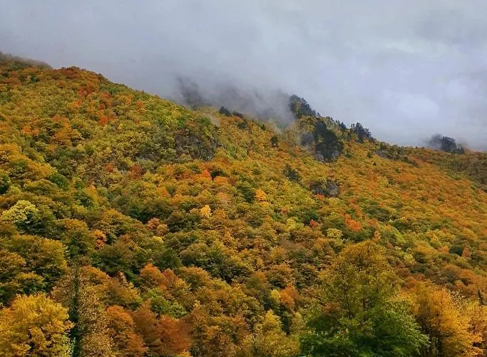 Grand Tara Rafting *